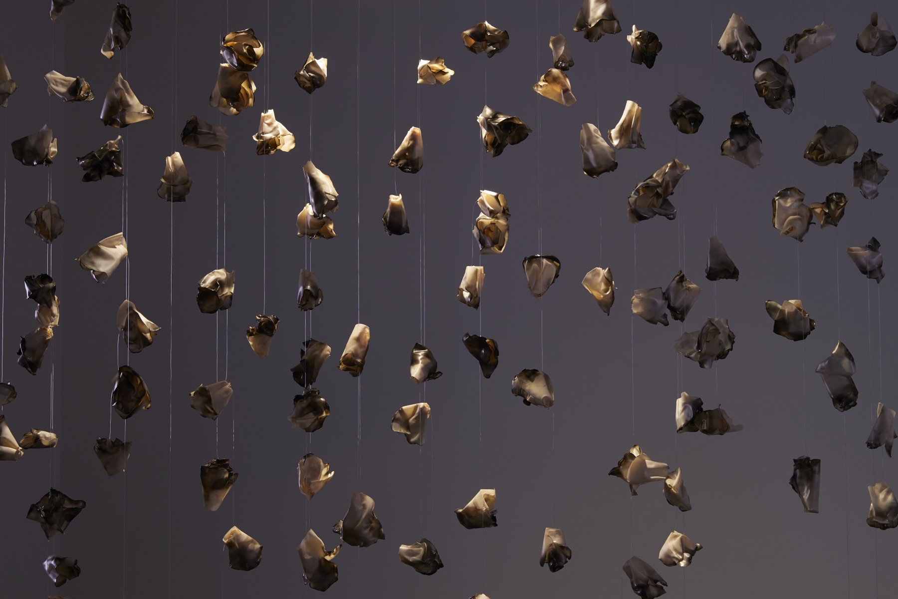 A Kingdom Of Flowers For My Mother