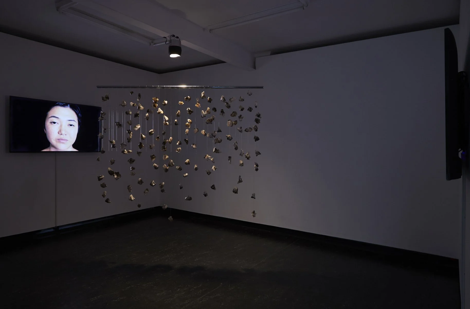 "A Kingdom of Flowers for My Mother" 2018, 144 smoked latex flowers 膠花, metal rod 屬擔挑, two-channel video loop, audio (22mins), Firstdraft, Sydney. Photo: Zan Wimberley.