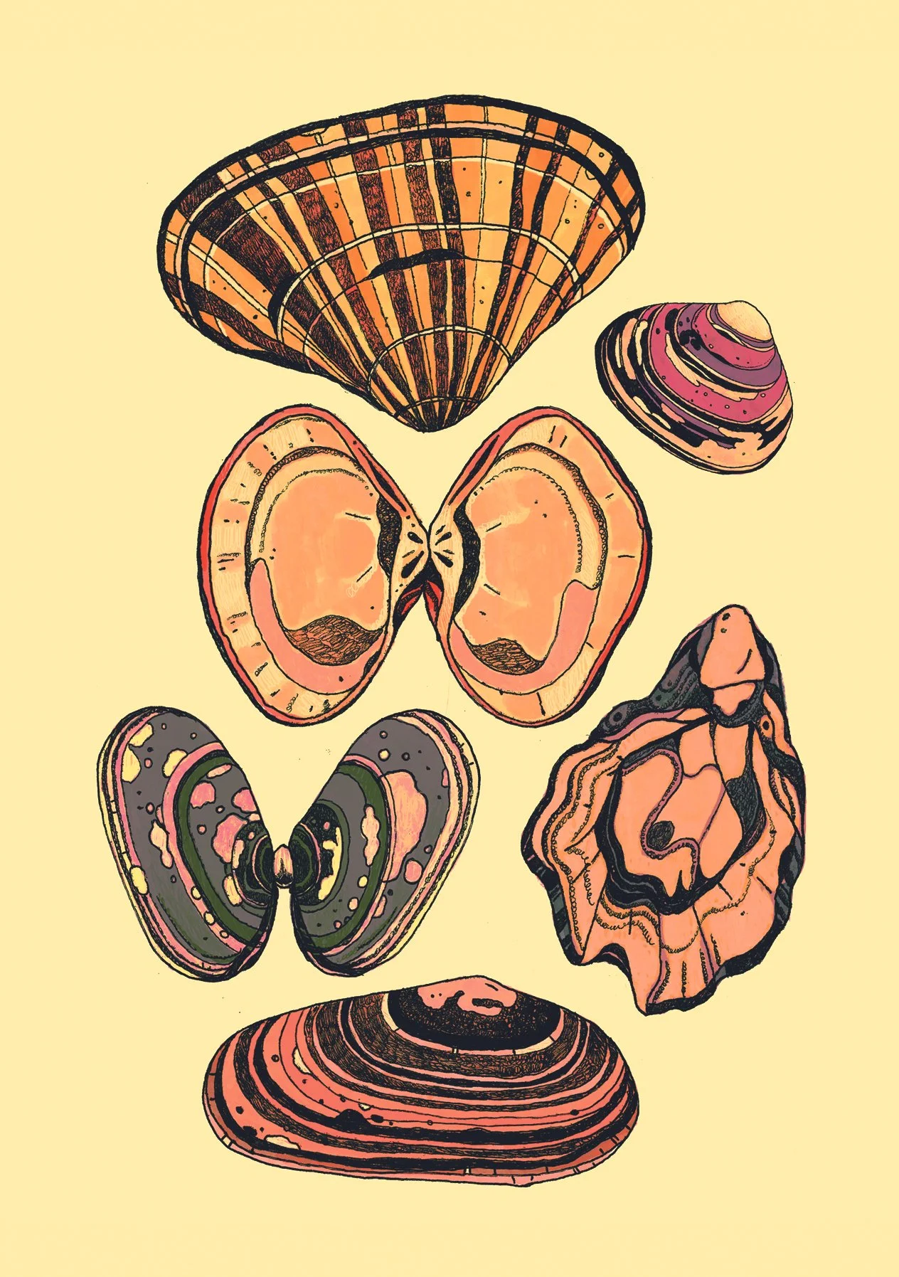 bivalves