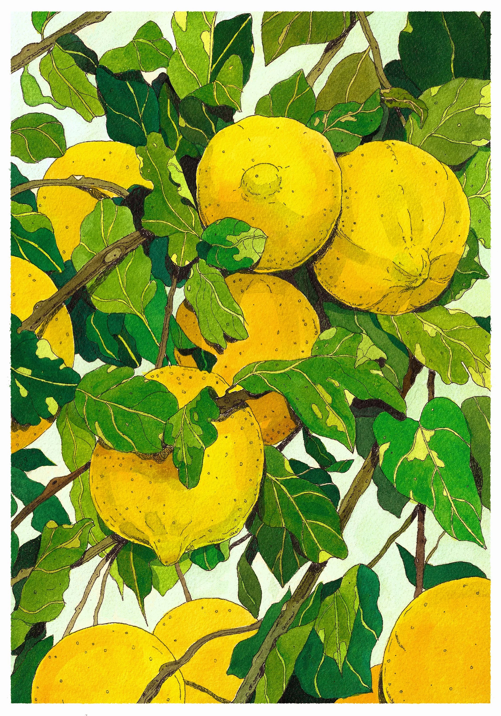 lemons_print.jpg