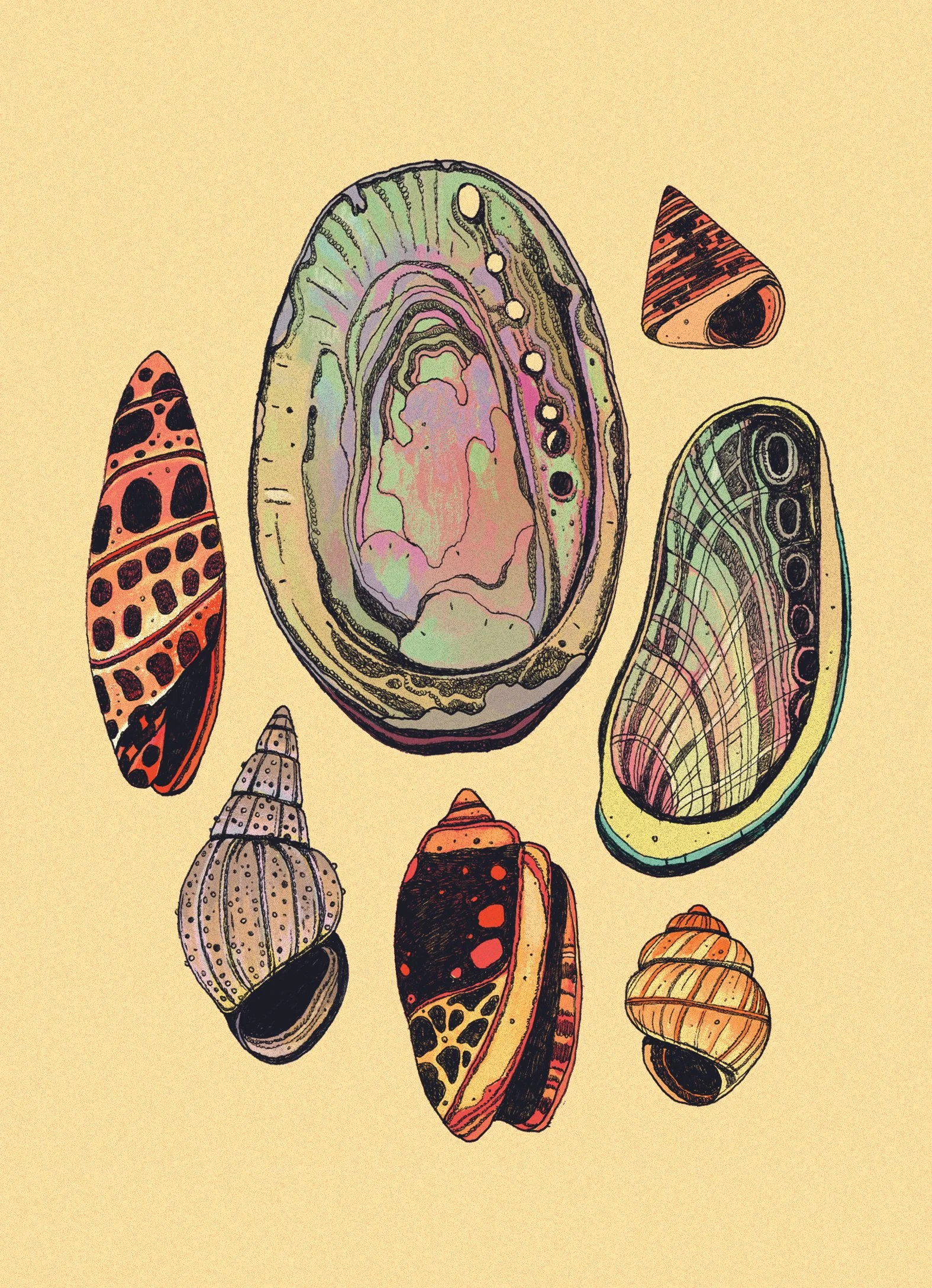gastropods_print_001 copy.jpg