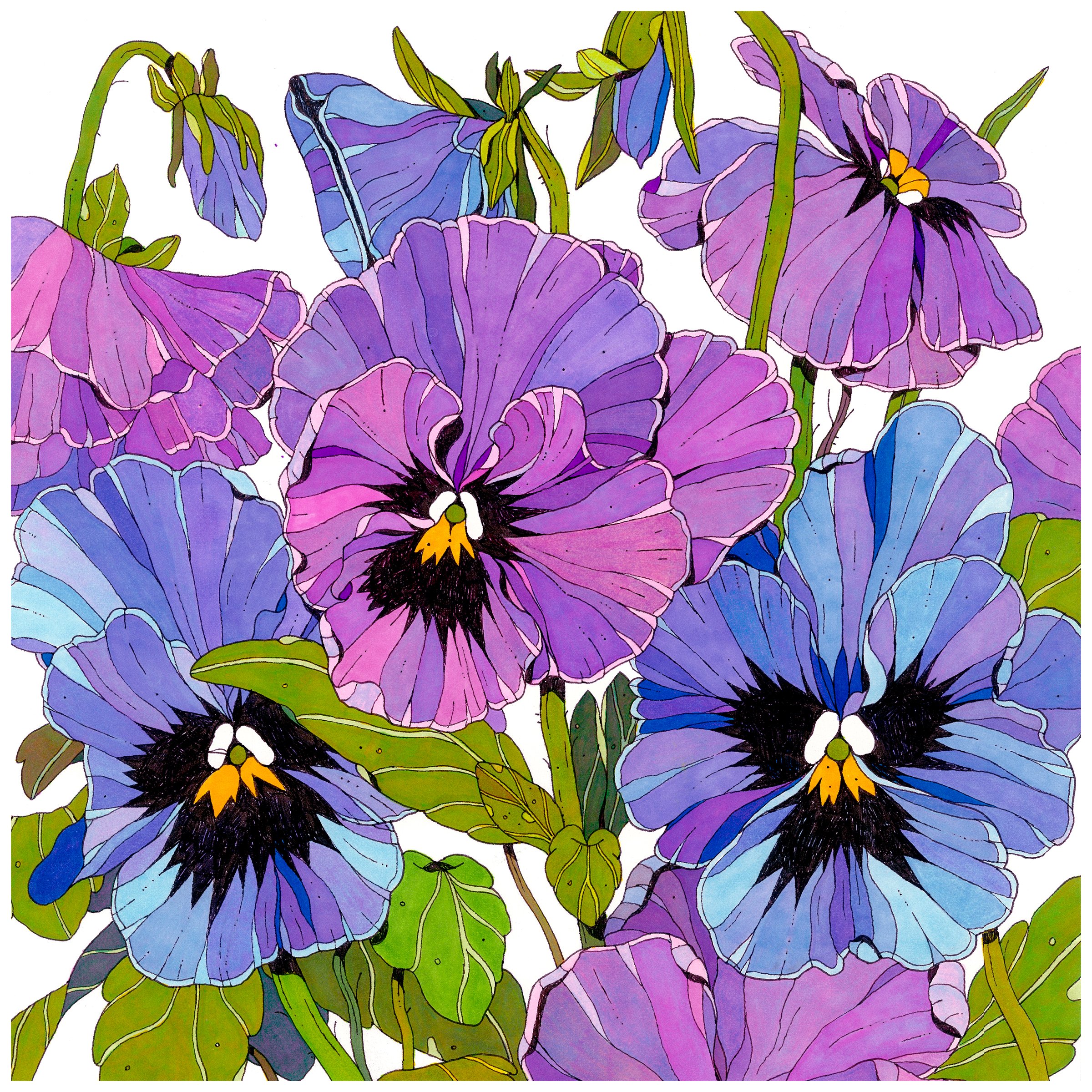 pansy garden