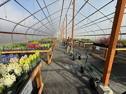 Island Gardens Spring greenhouse