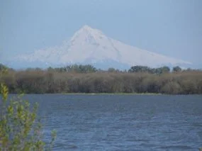 Sturgeon Lake on Sauvie Island