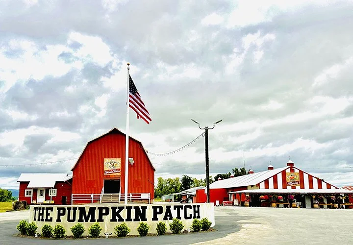 Photo-pumpkin patch-IMG_4018 SMALL.jpg