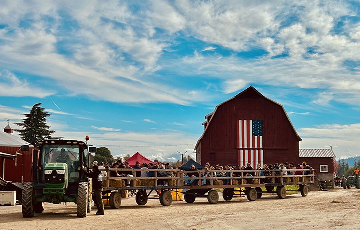 Photo-pumpkin patch-hayrides SMALL.jpg