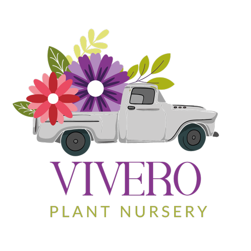 Vivero Plant Nursery