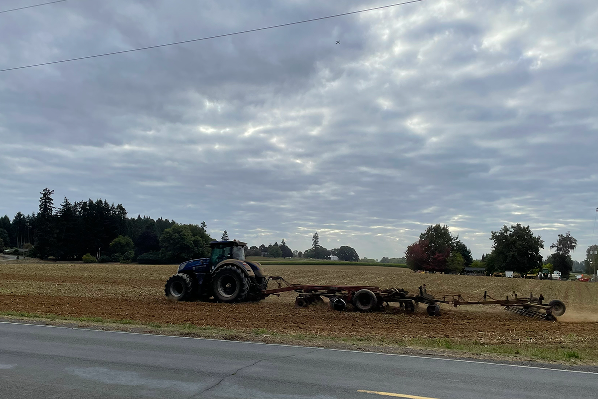 A summer’s bounty is being harvested, fields are being prepped for next year. Photo by Sauvie Island resident Michael Rubenstein.