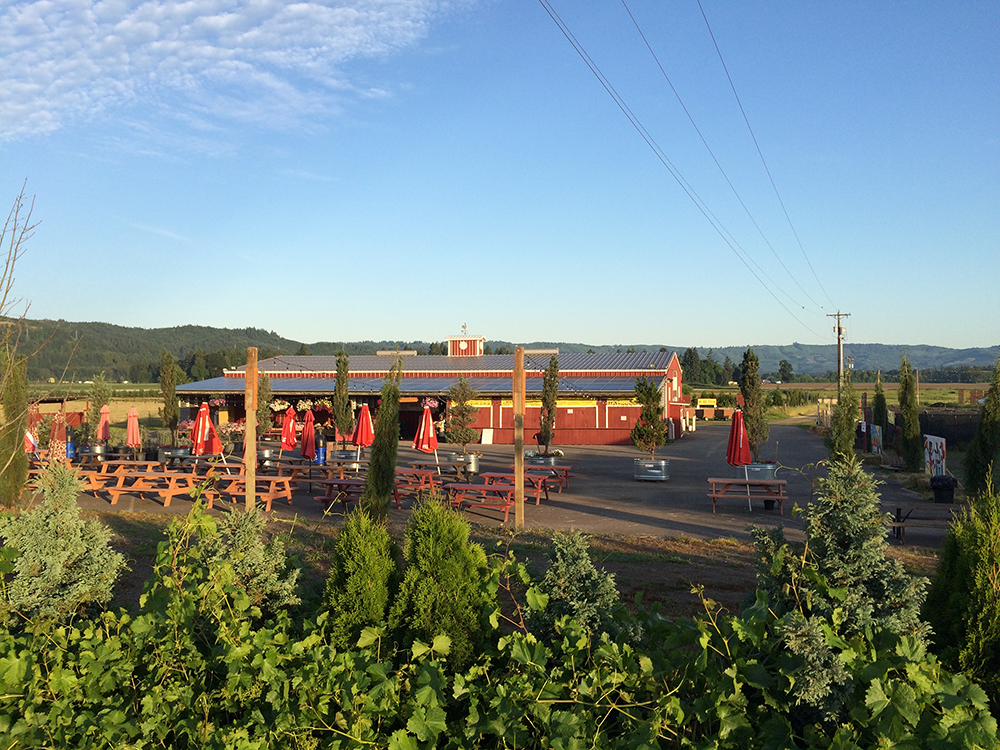 Bella Organic Farm Stand