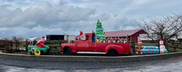 The Trapolds' Wonderful Holiday Decorations