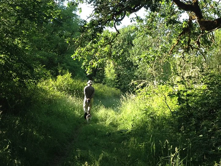 Hiking on Sauvie Island