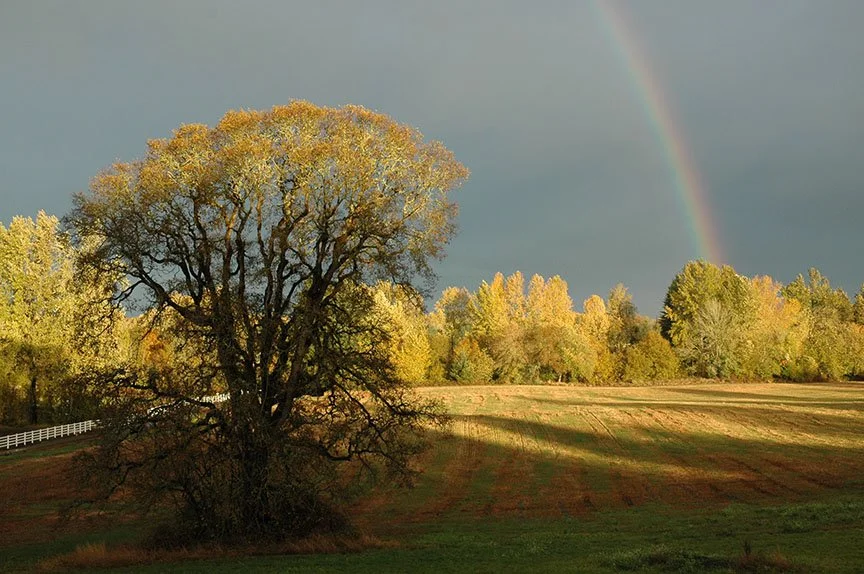 Photo by Sauvie Island resident Betsy Powell