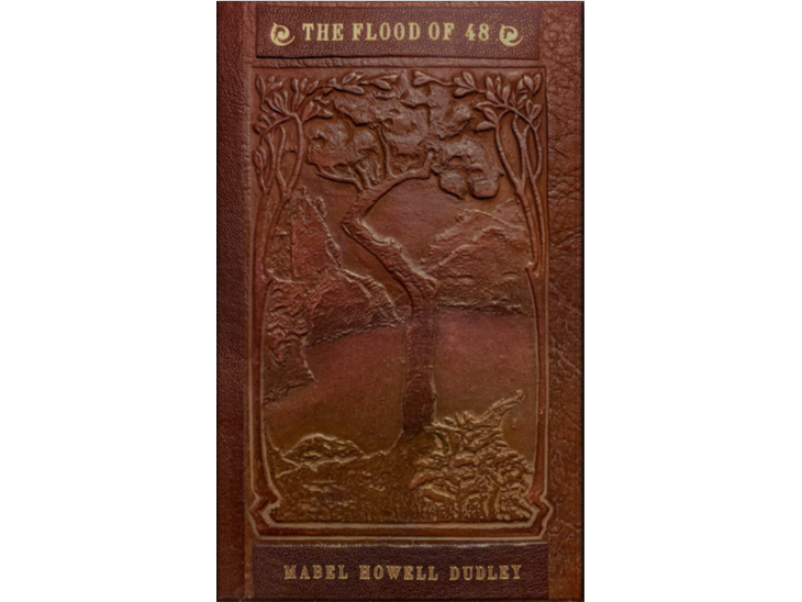 Flood of 48 book cover