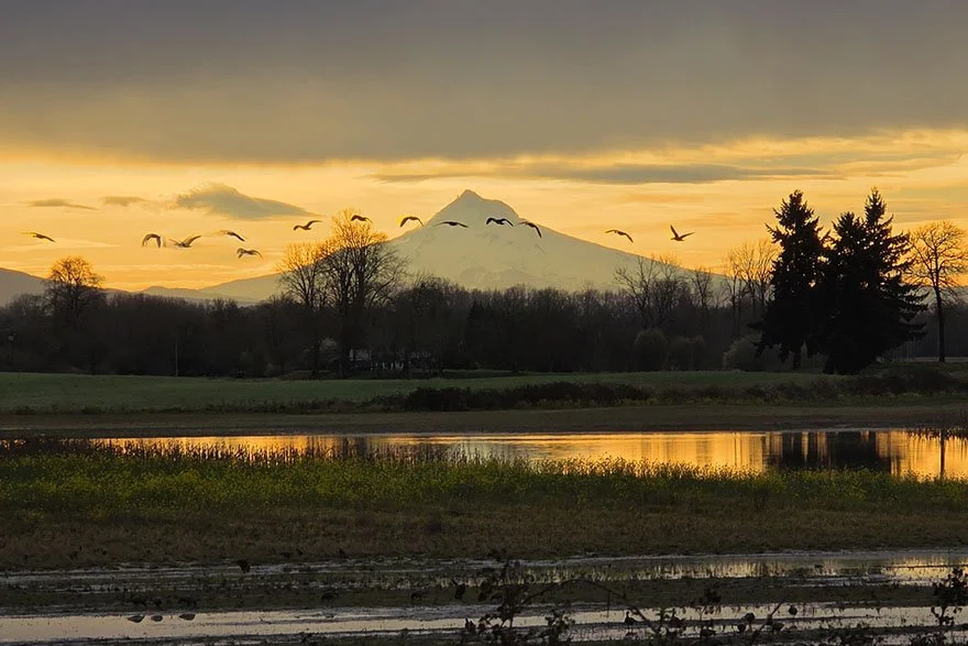 Sunrise over Mt. Hood. Photo by Sauvie Island resident Sherie Mitts