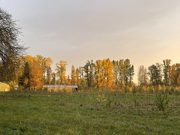 Also feeling very lucky.  Photo by Sauvie Island resident Megan Tedeschi