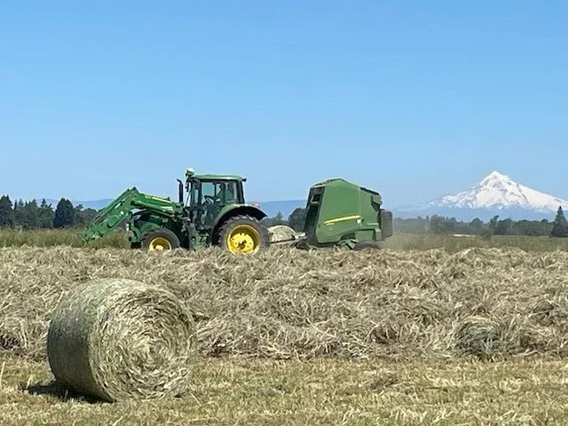 First hay of the season