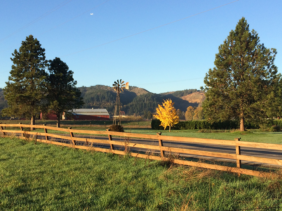 Fall morning. Photo by Sauvie Island resident Susan Locke