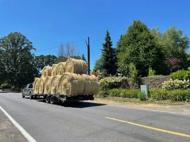 First hay of the season
