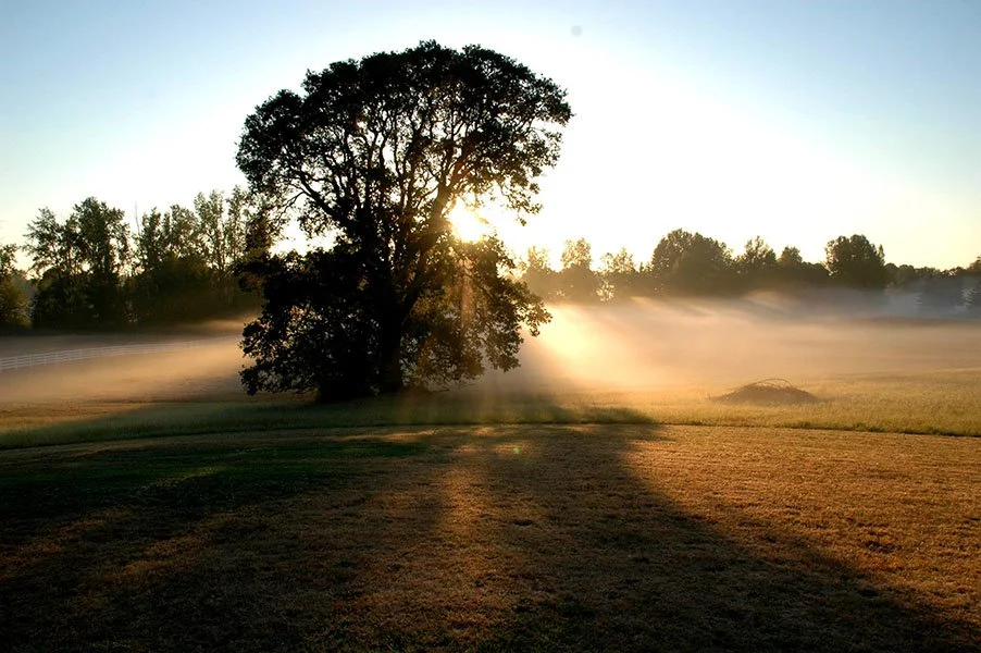 Photo by Sauvie Island resident Betsy Powell