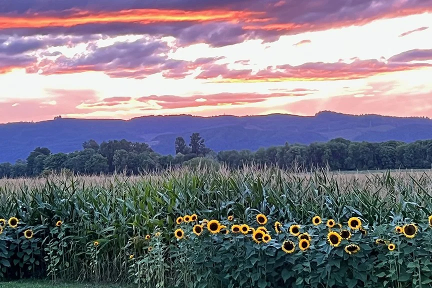 Photo by Sauvie Island resident Linda Wisner