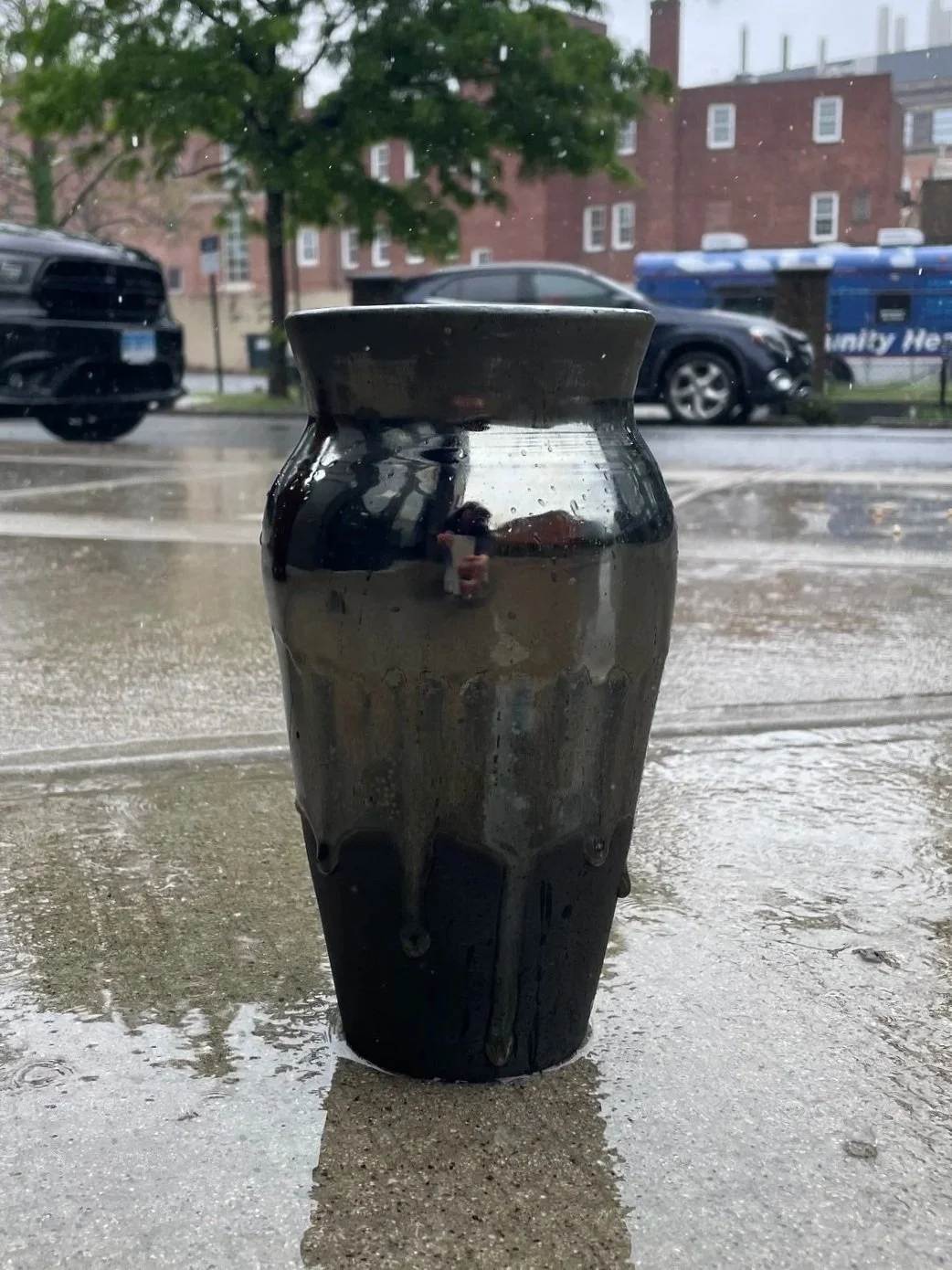 Mirrored Black Vase