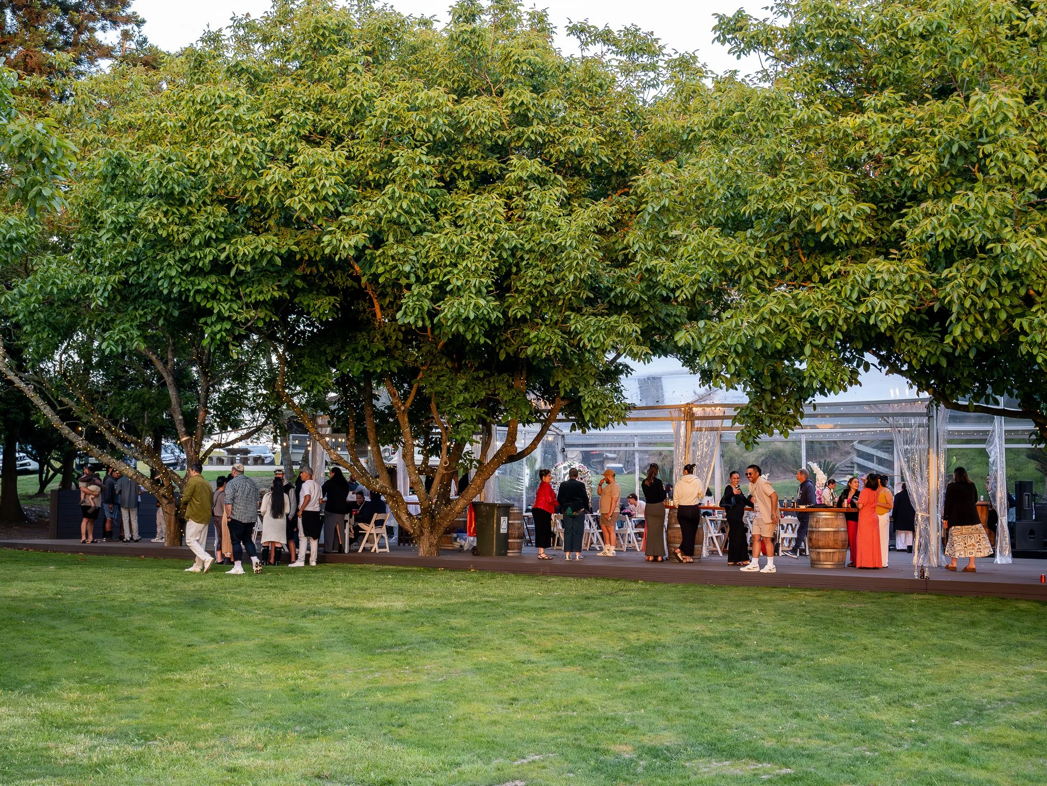 Te Tumu Estate Web-116.jpeg