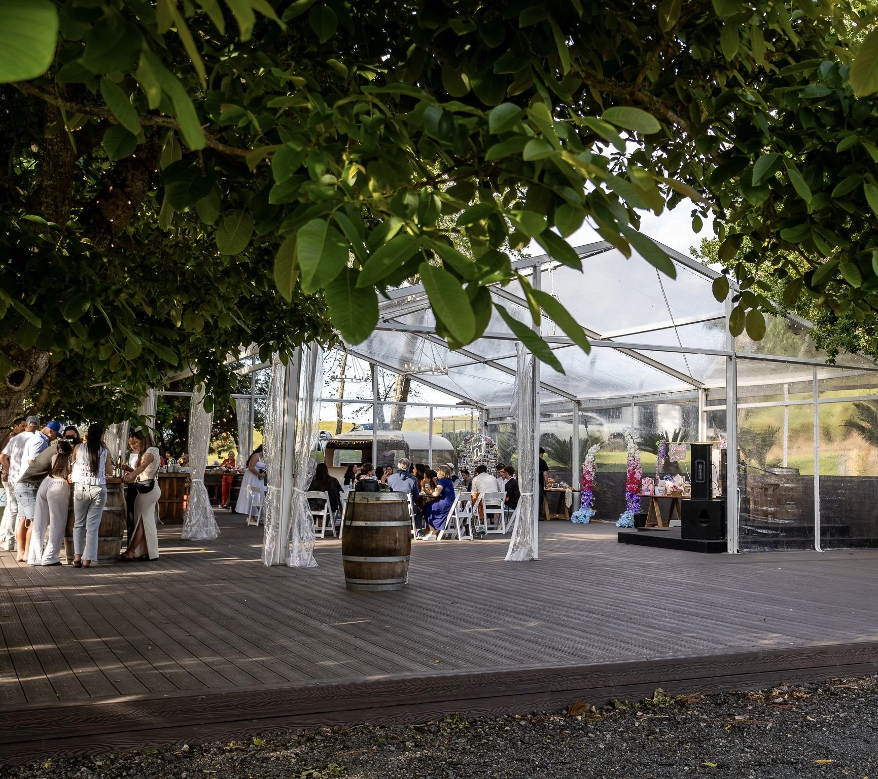 Te Tumu Estate Web-8.jpeg