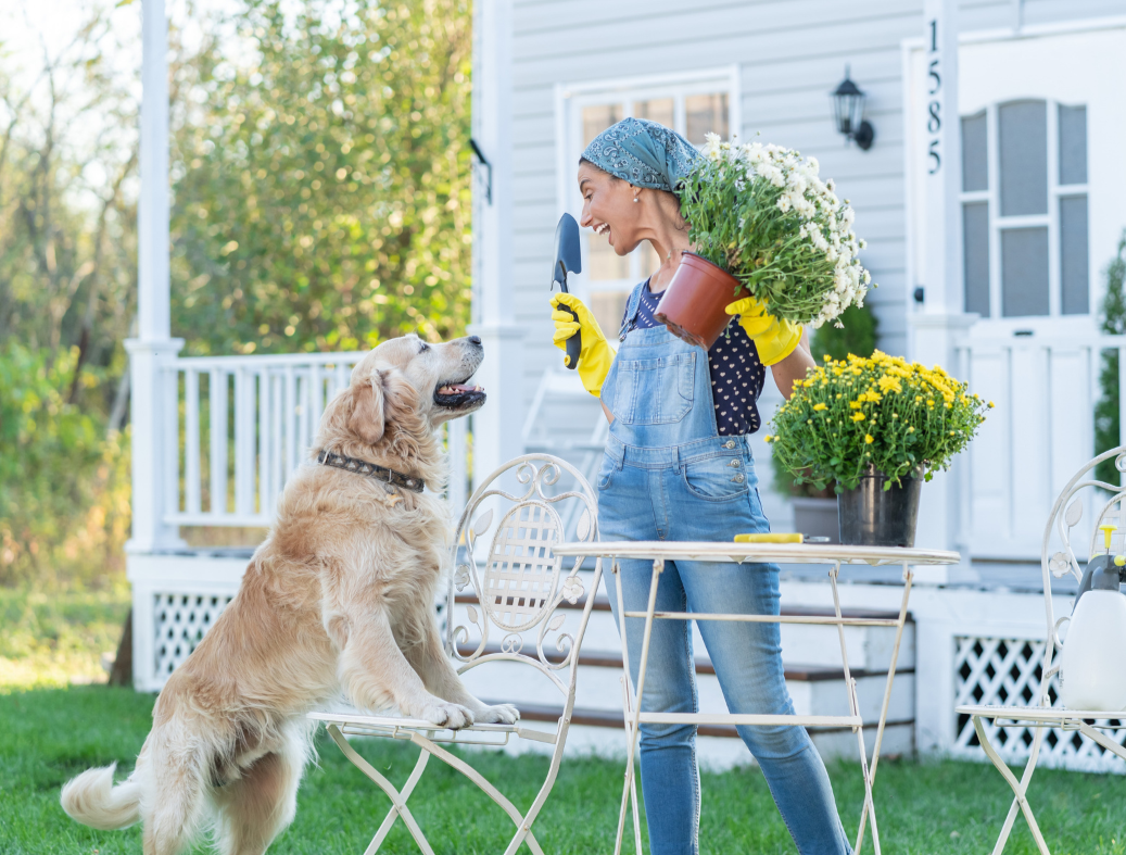 A woman with a bandana and yellow gloves holding a flower pot, smiling at a golden retriever sitting on a porch table.