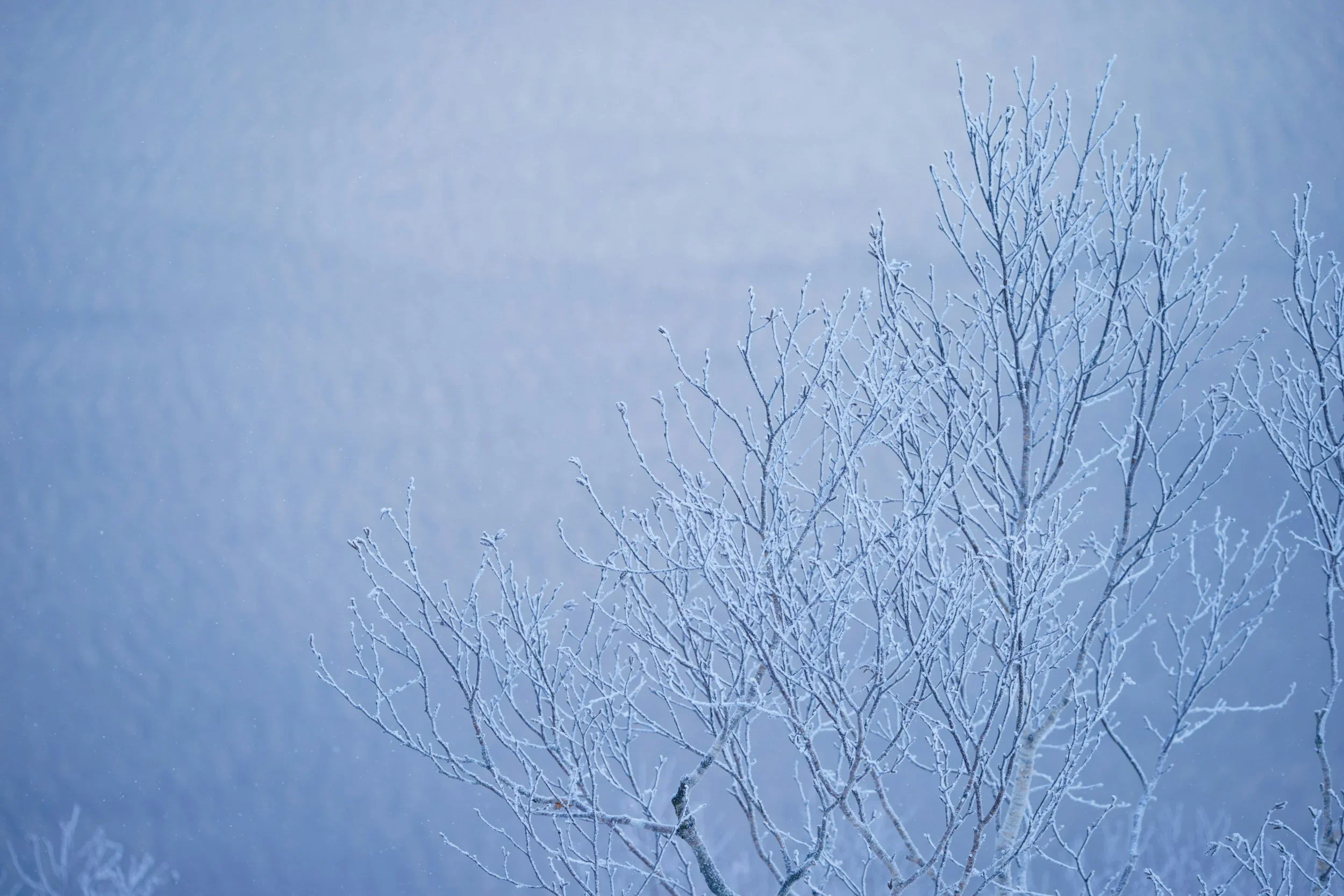 Navigating Winter Blues: Insights from an Okanagan Therapist's Perspective