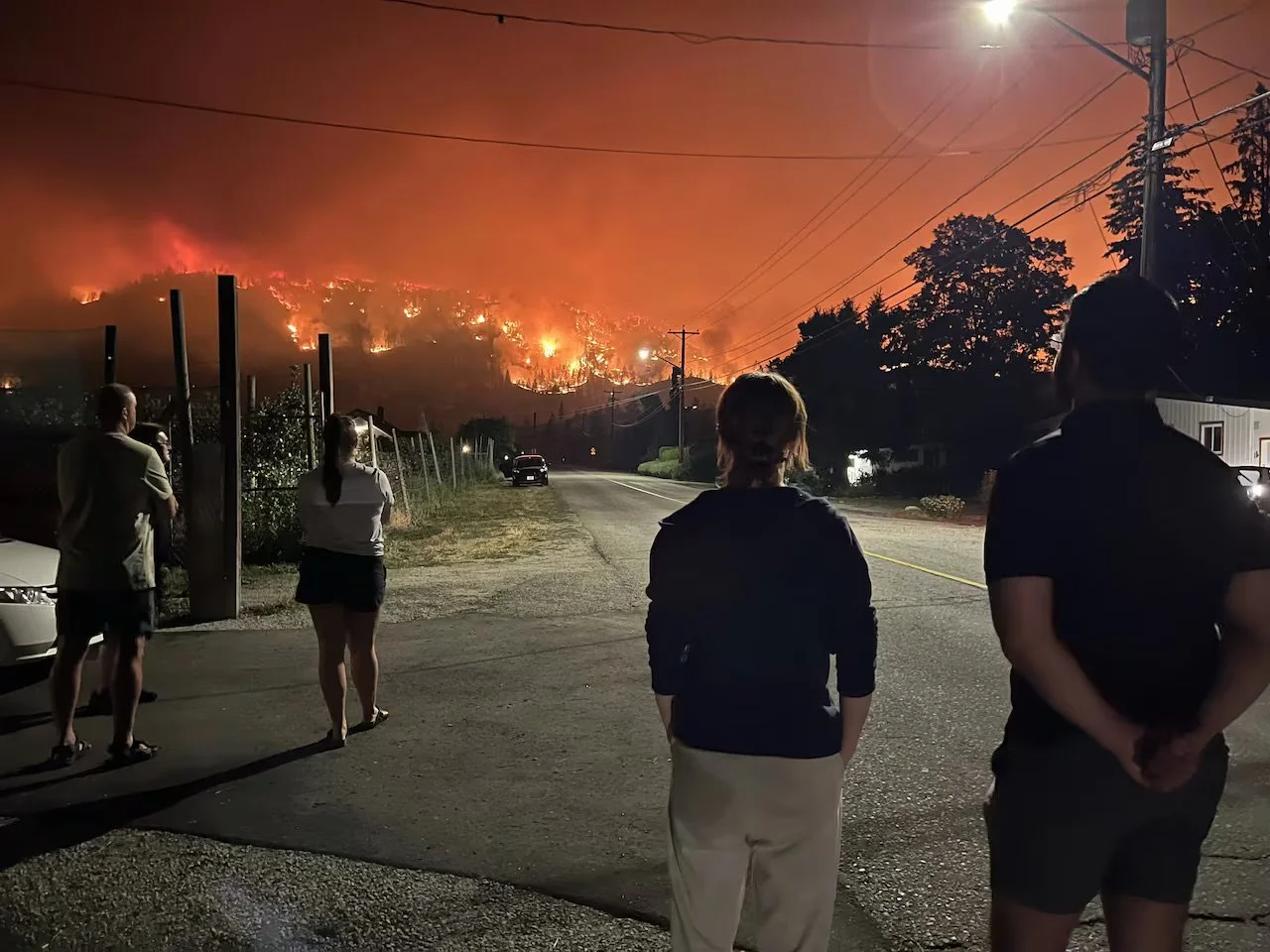 After the Fire: What Wildfire Trauma Actually Looks Like in Adults and How to Move Through It