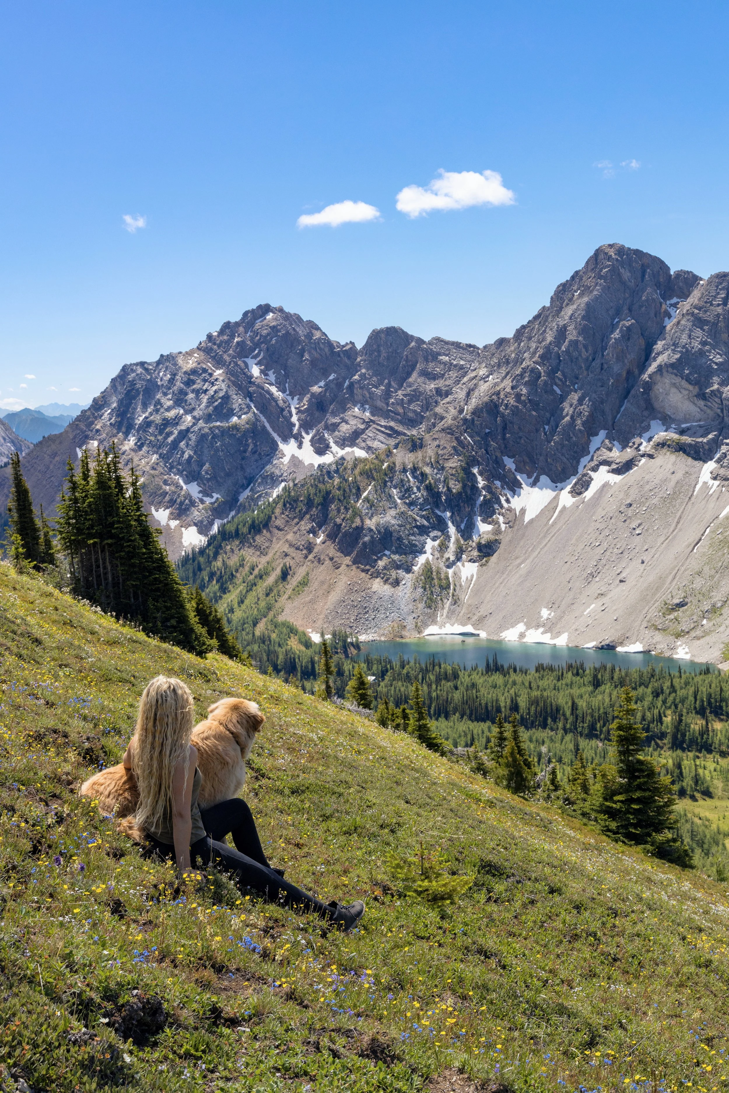 A woman sitting on a grassy hillside with a dog, overlooking a mountain landscape with trees, snow patches, a lake, and blue sky with a few clouds.
