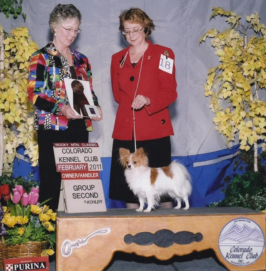 e Bella group Denver.jpg