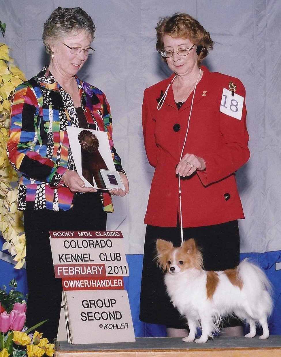 Bella group Denver.jpg