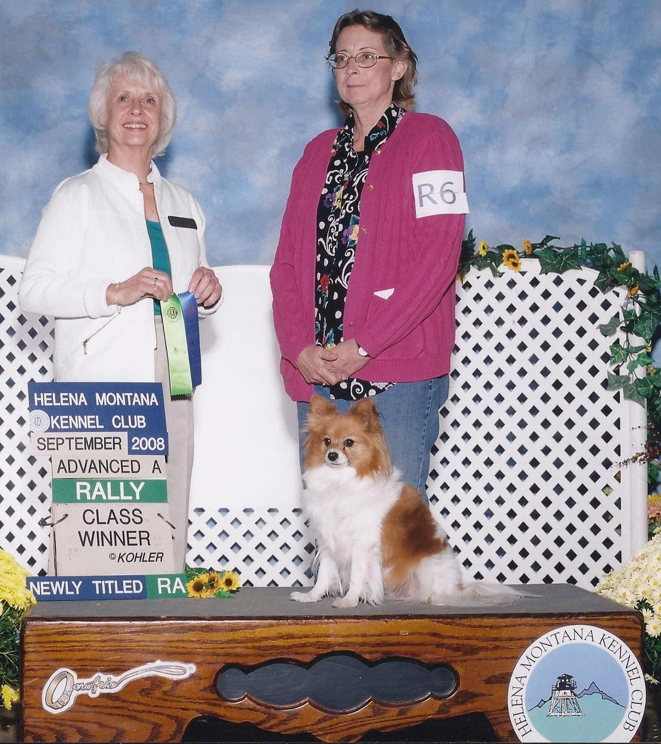 Patches Helena RA.jpg