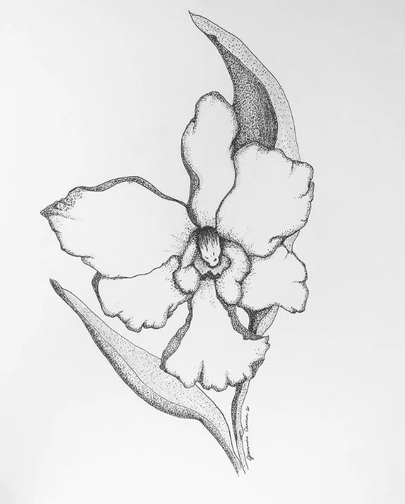 Screenshot 2023-01-29 135312.jpg