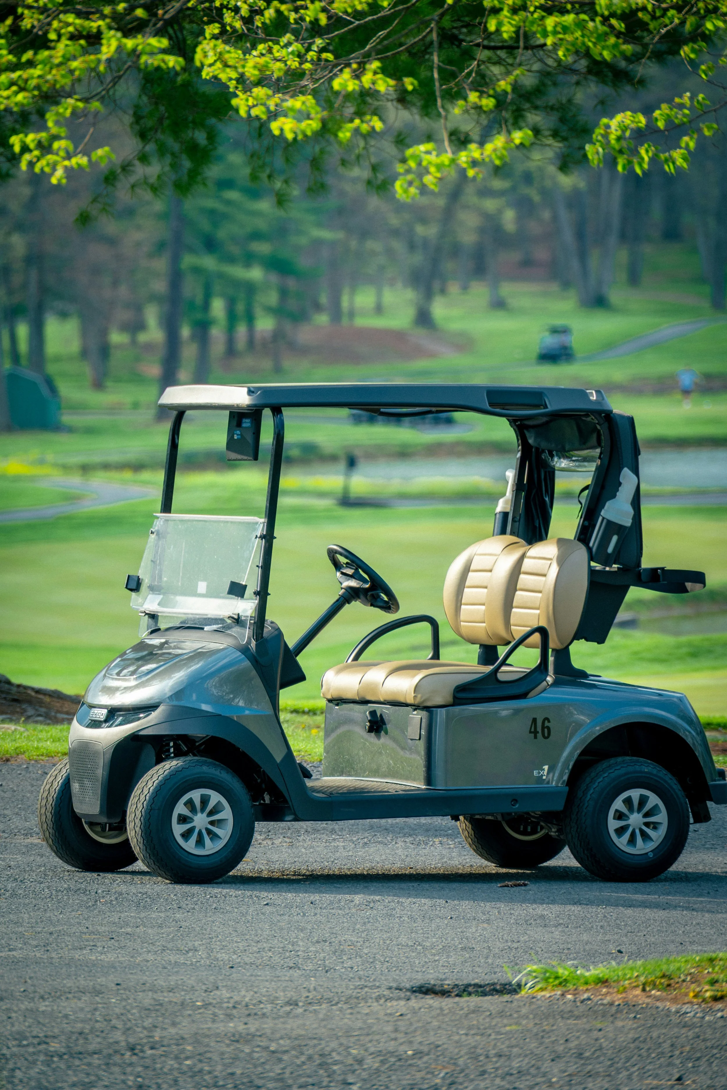 Golf Cart Rental for Tournament