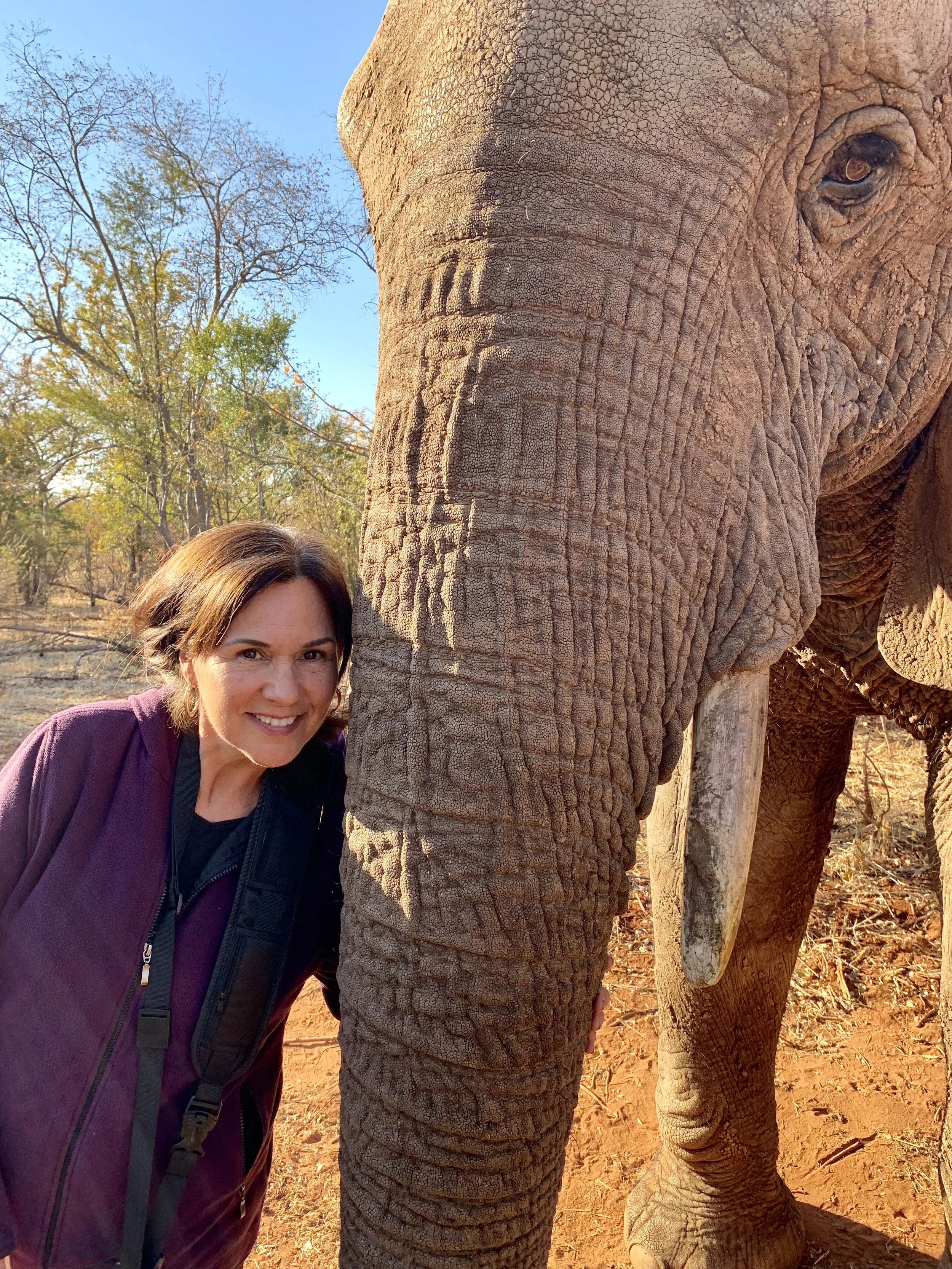 A woman smiling next to an elephant in a natural outdoor setting with trees and dry soil.