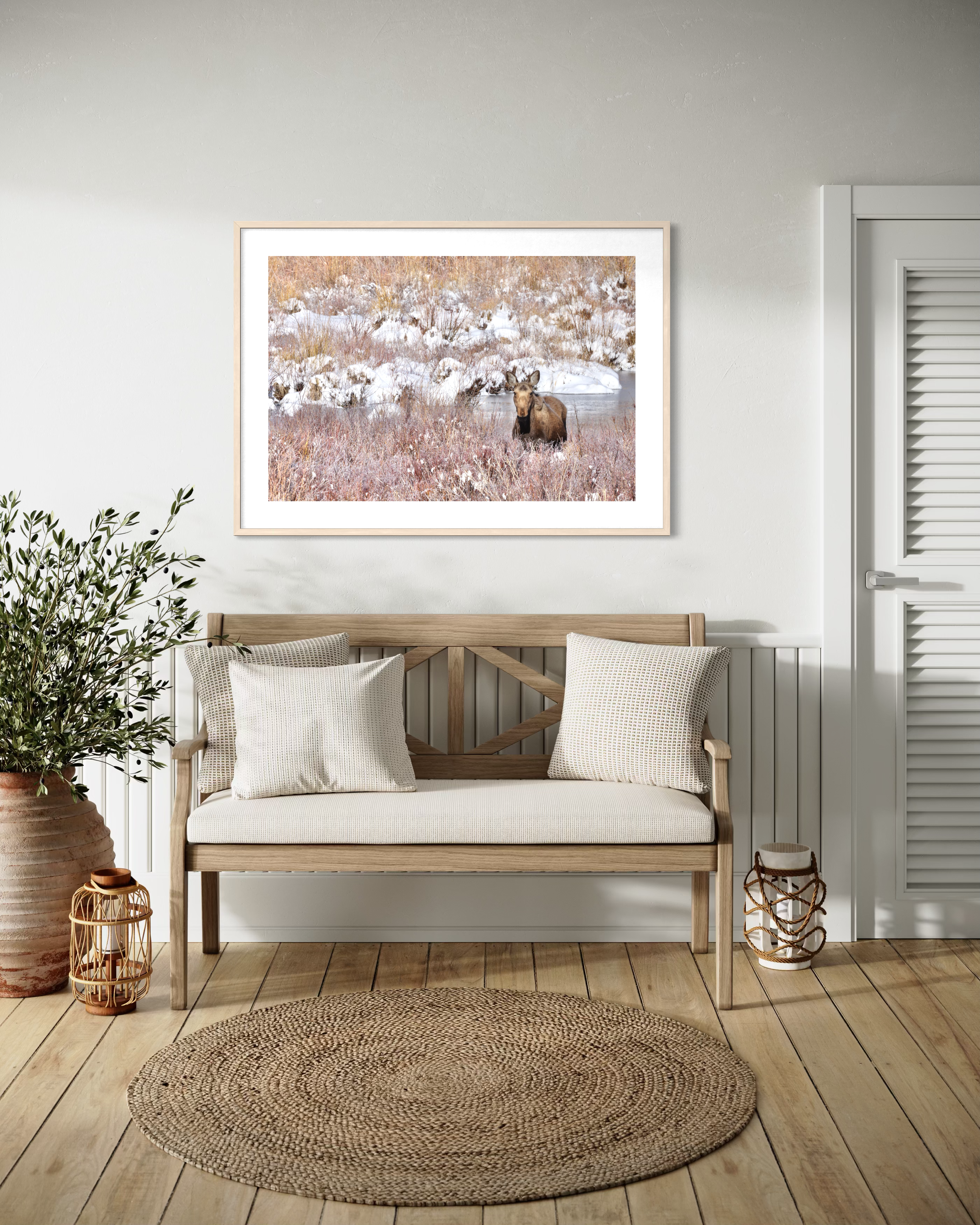 A cozy corner of a room with a wooden bench with white cushion and pillows, a round woven rug on wooden floor, a large potted plant, a framed photo of a moose in a snowy landscape on the wall, and decorative lanterns and a basket beside the bench.