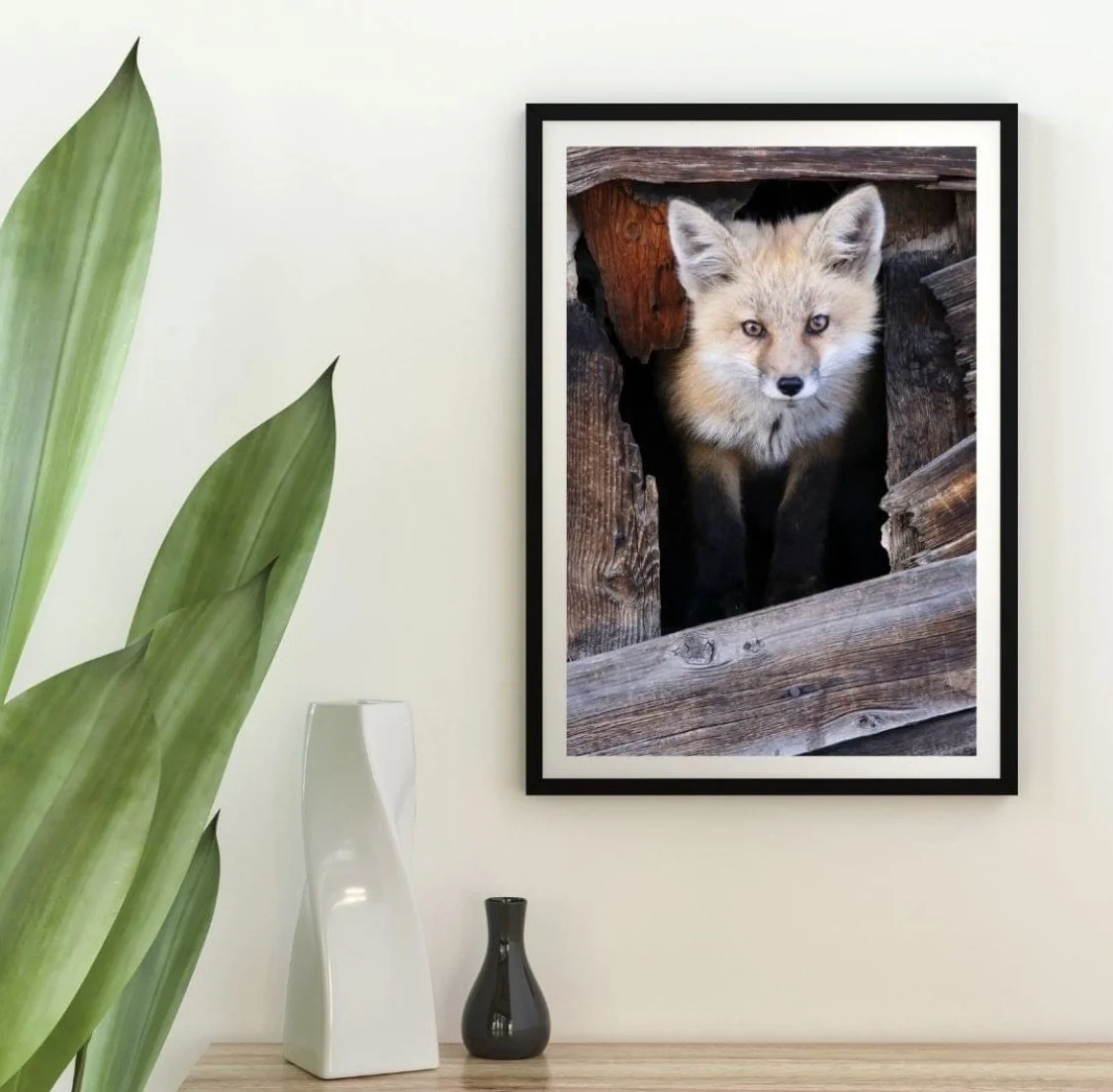 Framed photograph of a fox peering through a wooden opening.