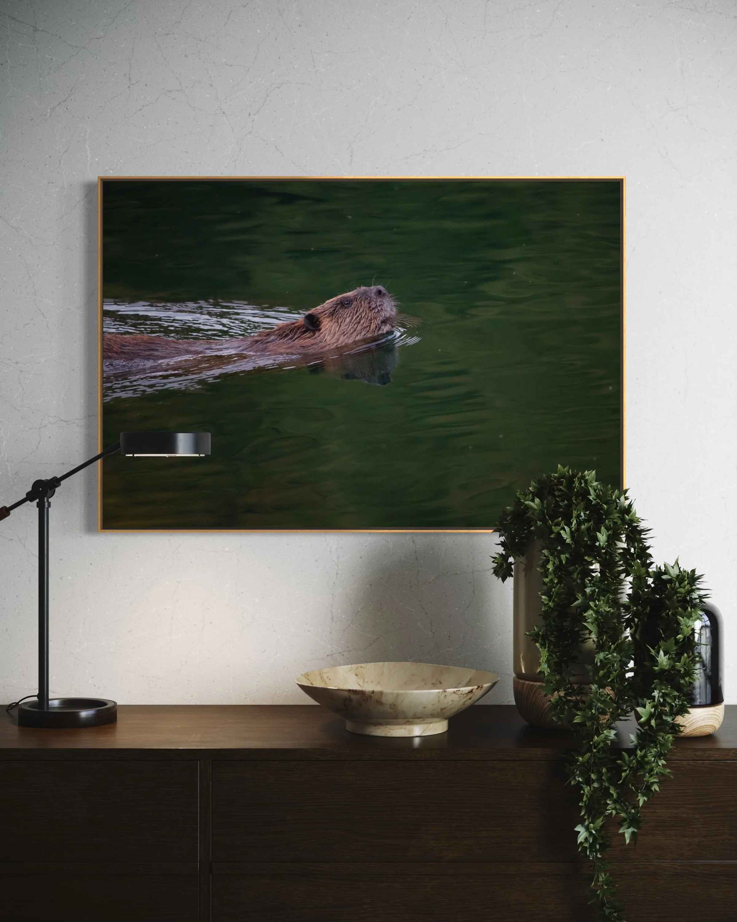 Wall art featuring a photo of a beaver swimming in green water, mounted above a dark wooden dresser. On the dresser there is a white marble bowl, a potted green plant, a lamp, and a small decorative dish.
