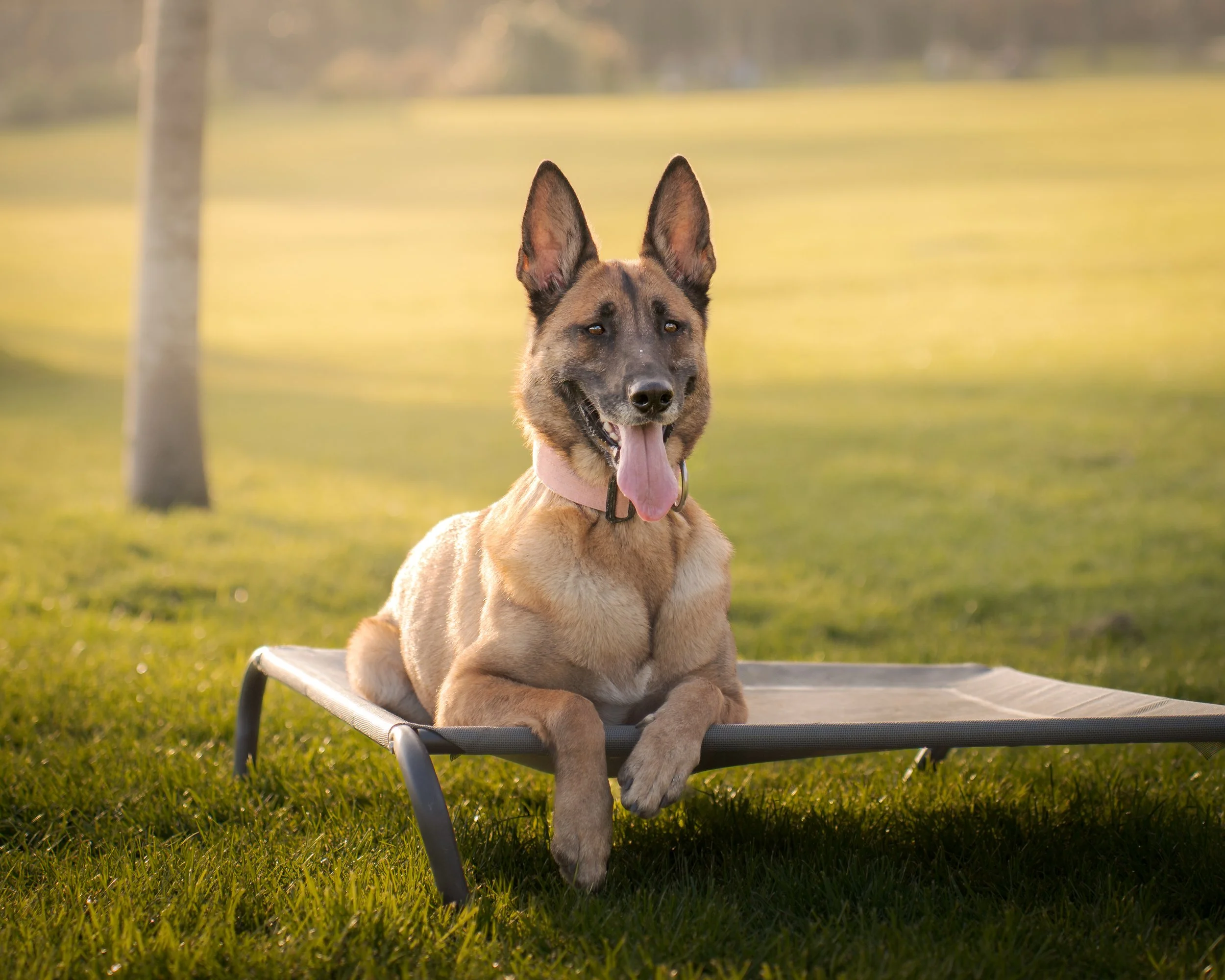 Milaya sitting.jpg