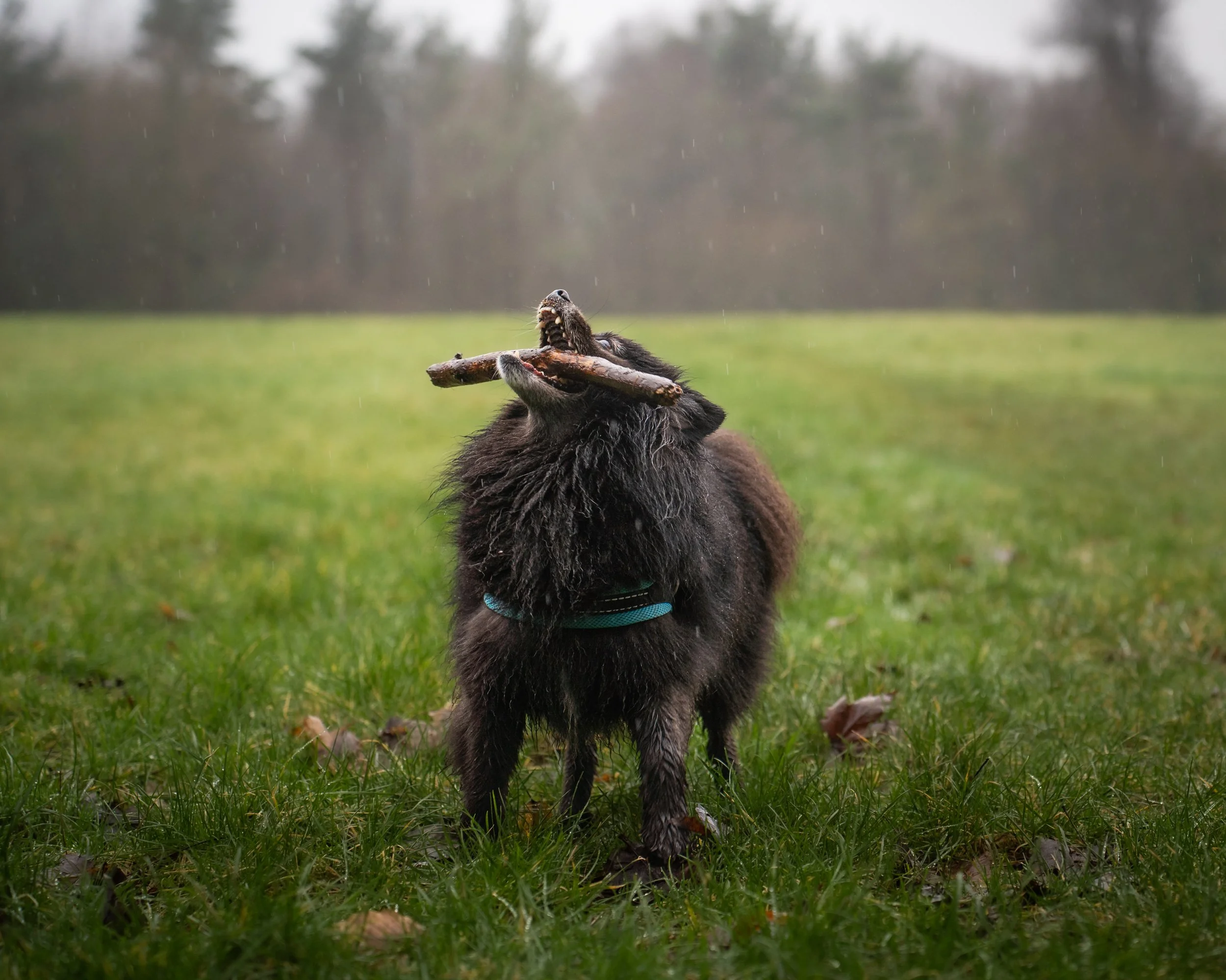 4x5 stick.jpg