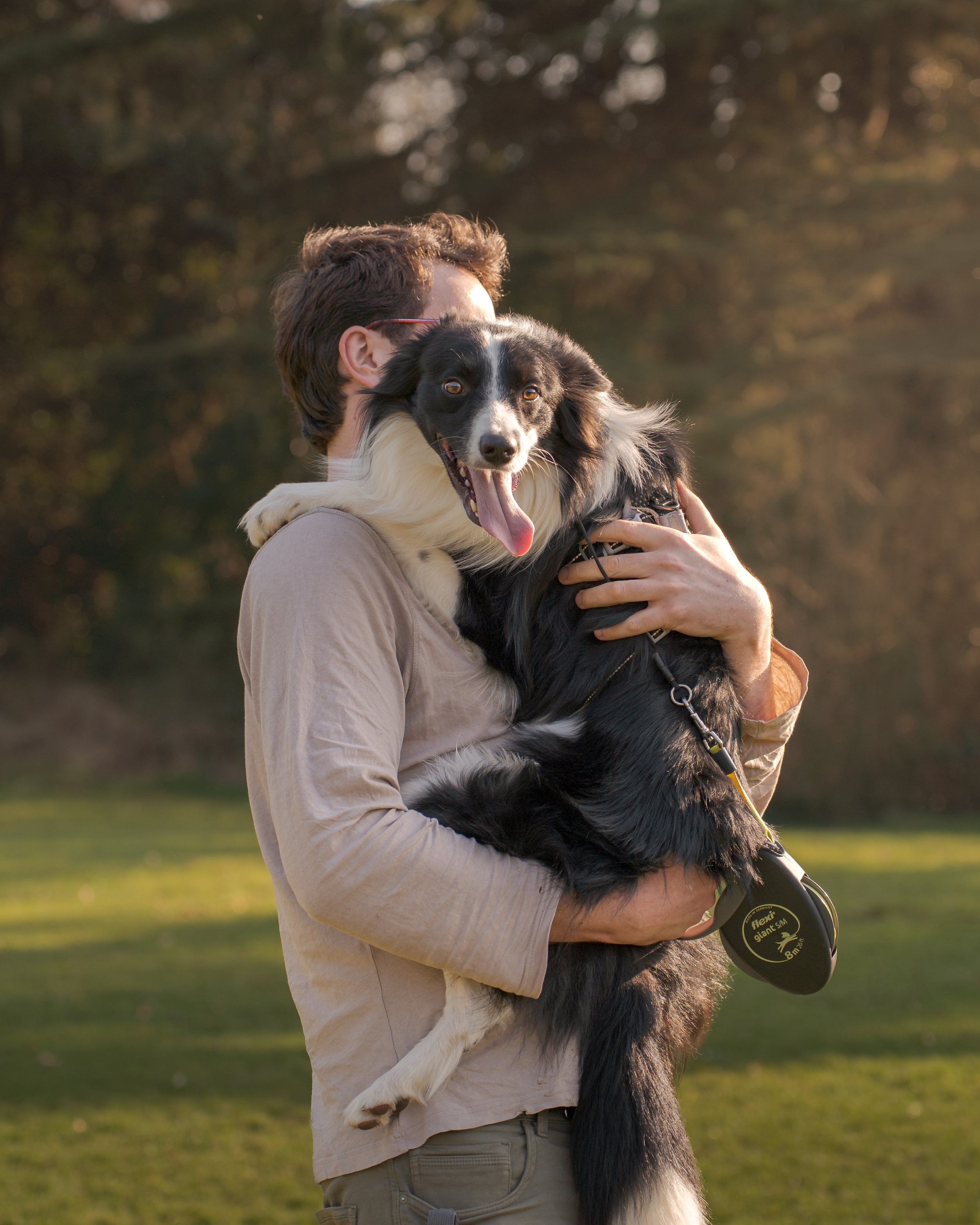 Collie getting a hug.jpg
