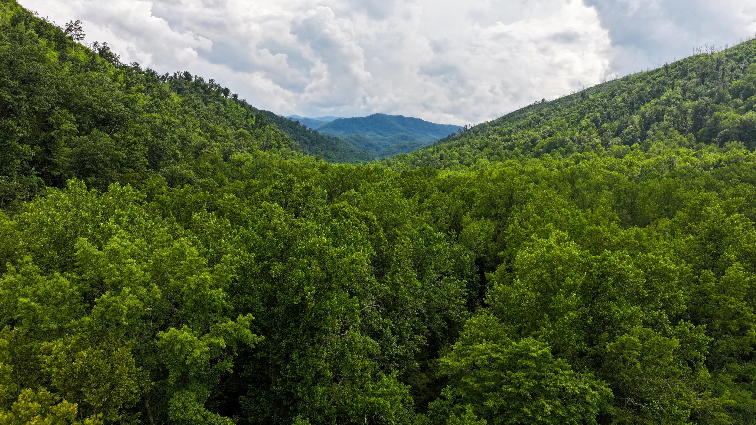July 2025 - Drone photo taken of the Smoky Mountains outside of Gatlinburg, Tennessee.