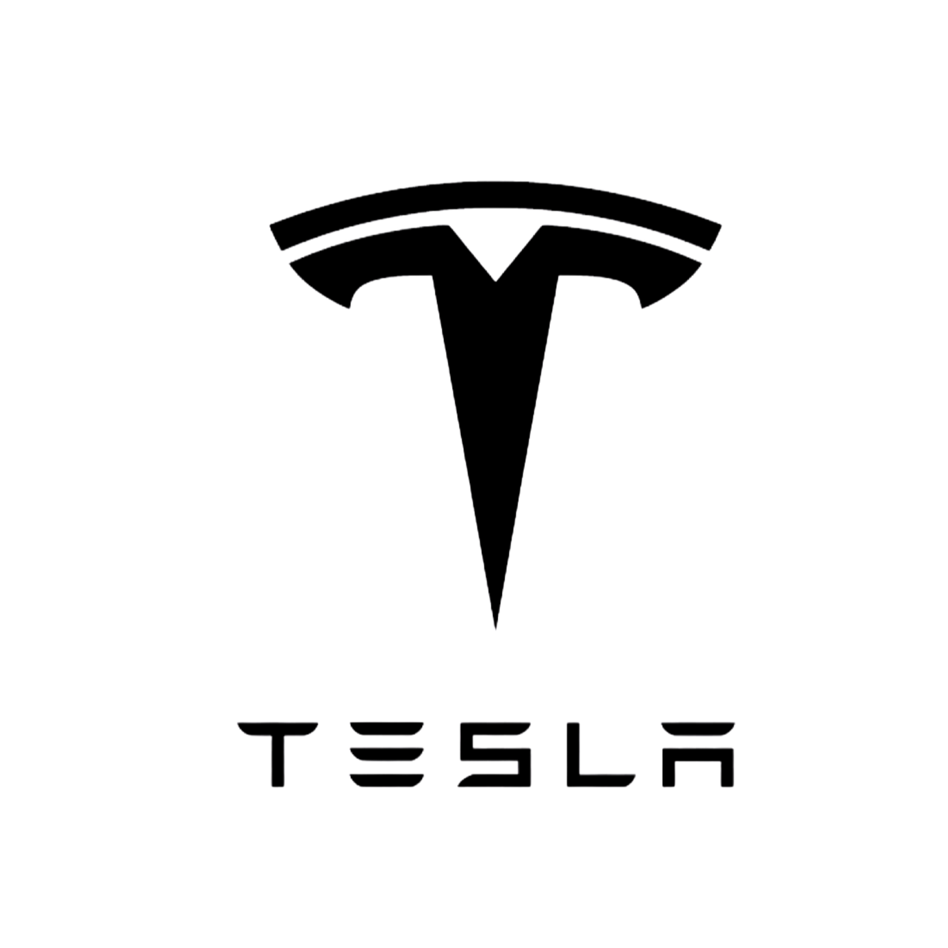 Tia Williams Marketing Tesla