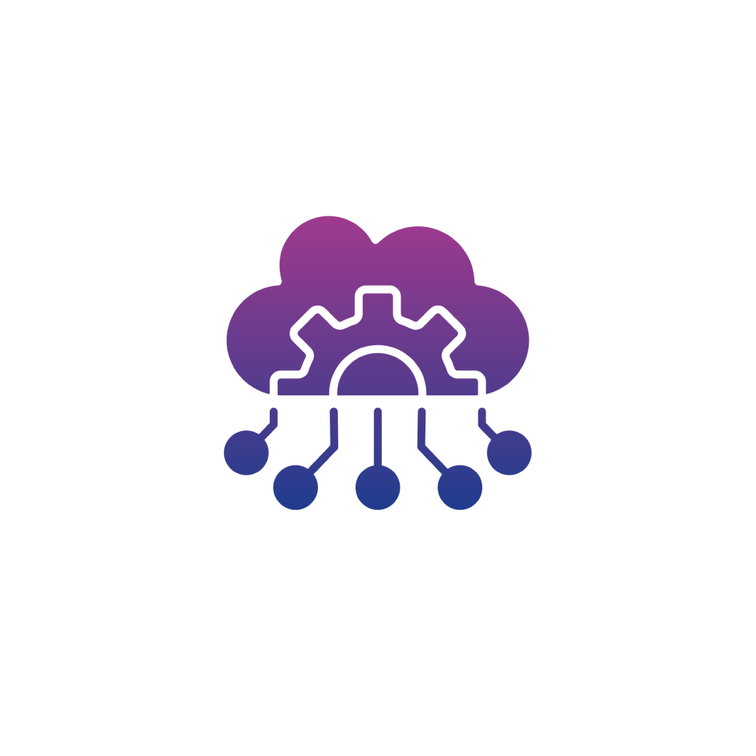 Salesforce Implementation