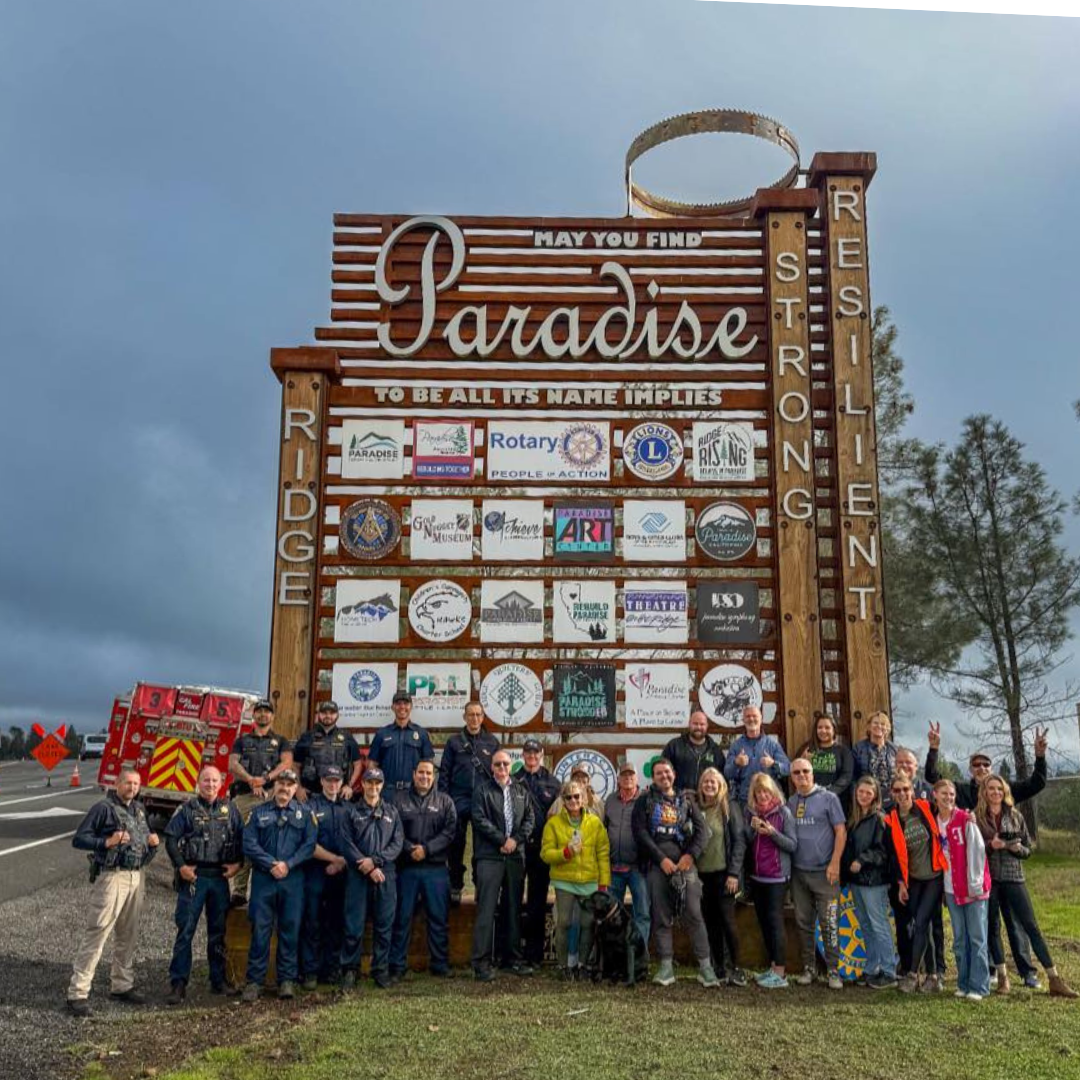 Program: Demitri Camperos 