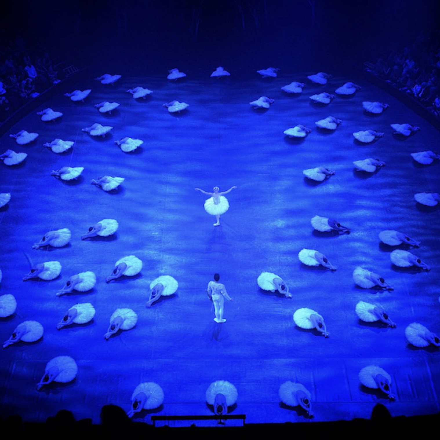 P. Tchaikovsky - D. Deane "Swan Lake in-the-round" with the English National Ballet