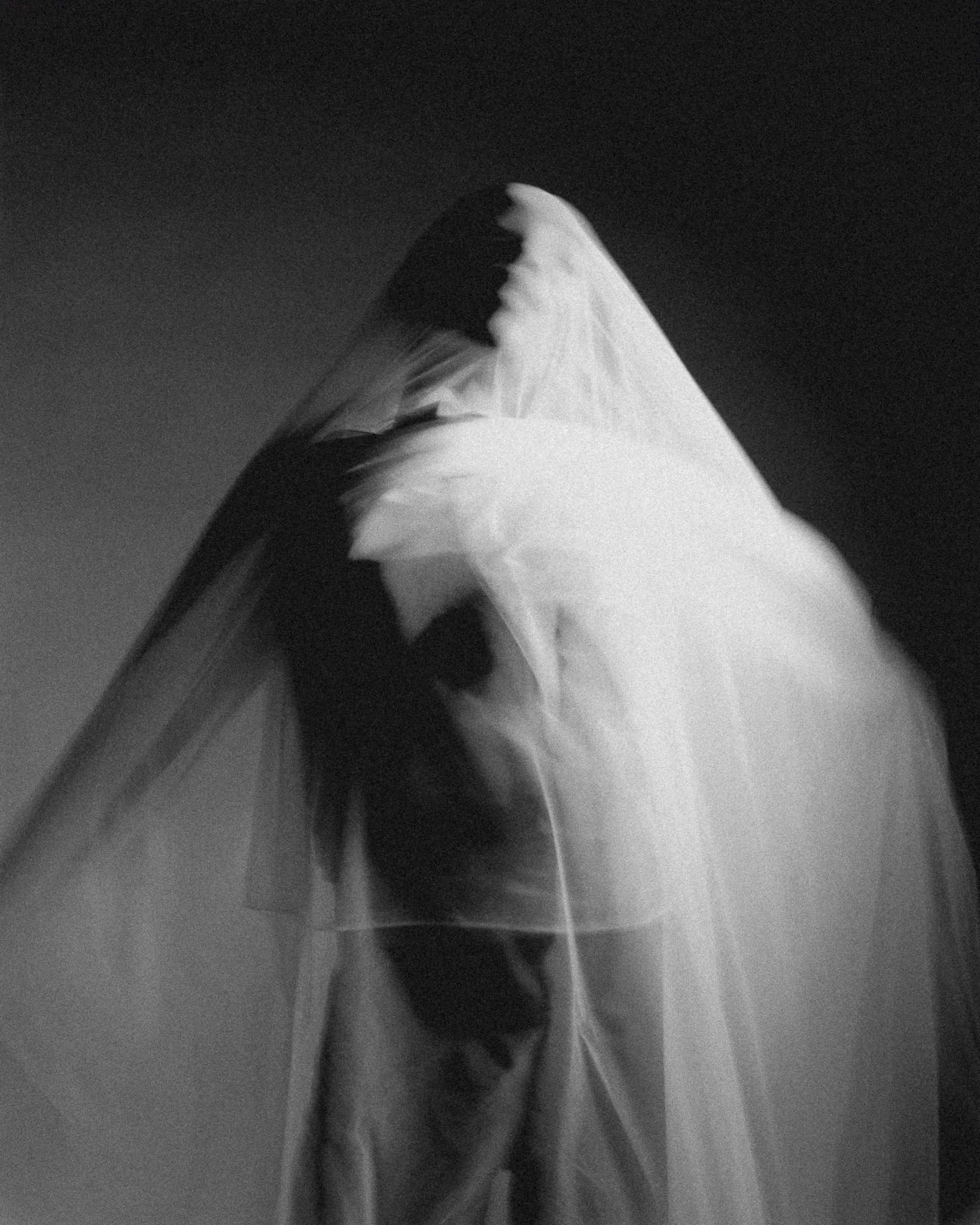 photo by Audrey Brizic 