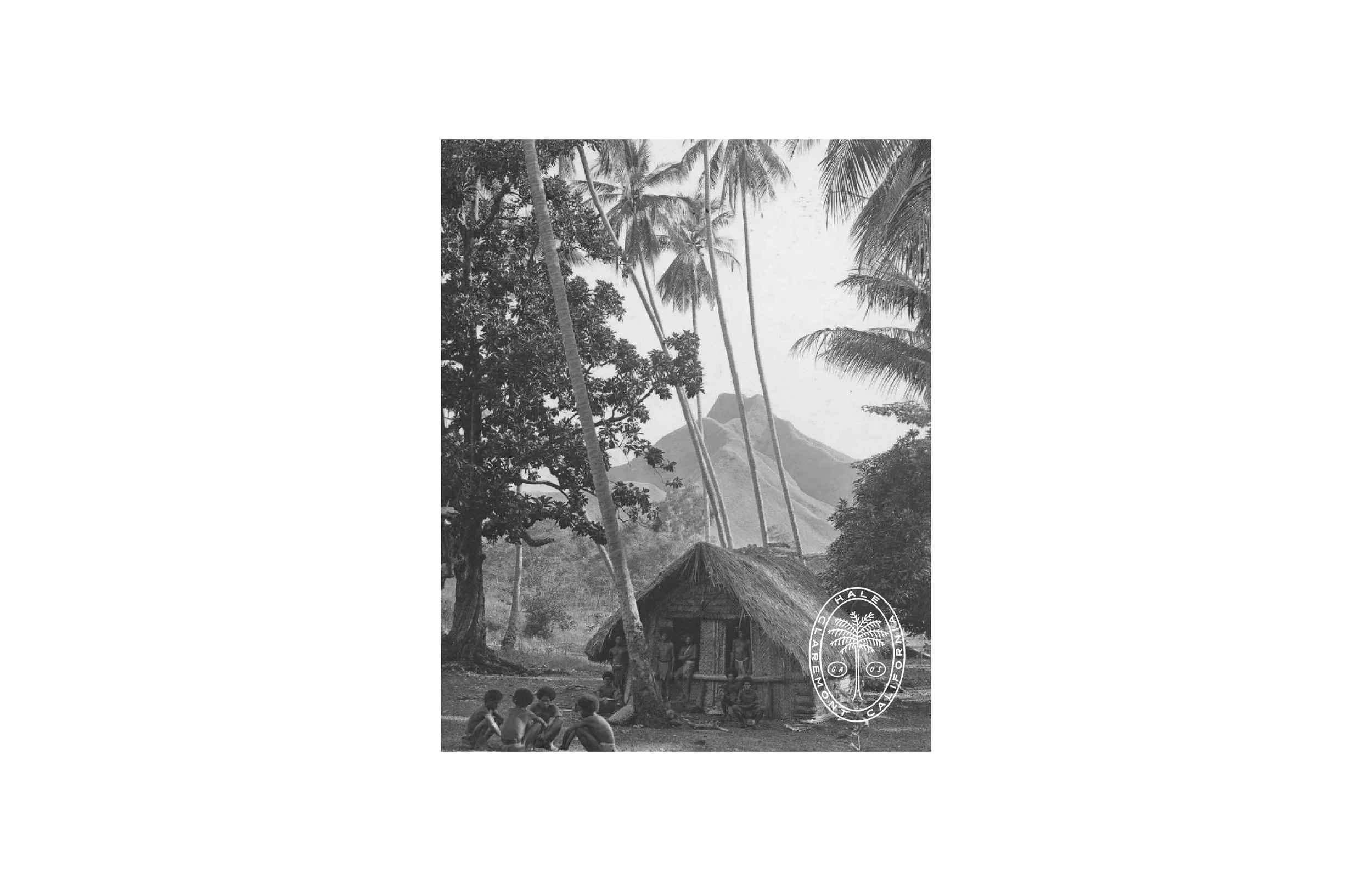 HALE TEMPLATE-09.jpg